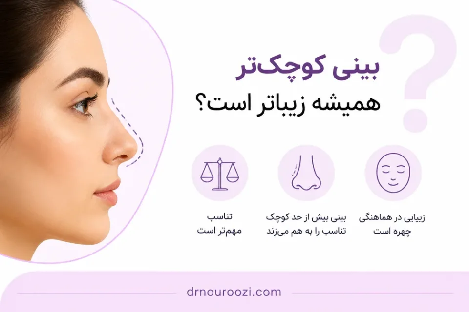 نمای توضیحی درباره بینی کوچکتر همیشه زیباتر است